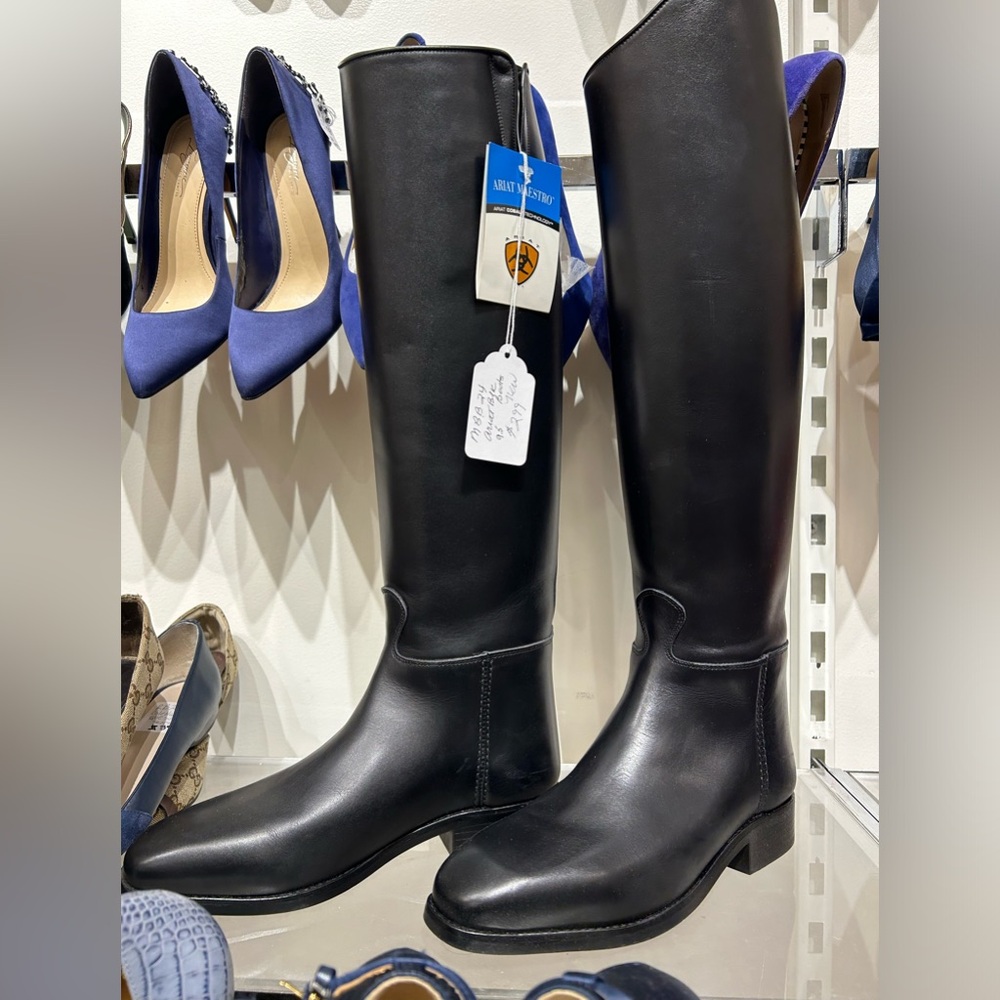 Ariat Maestro